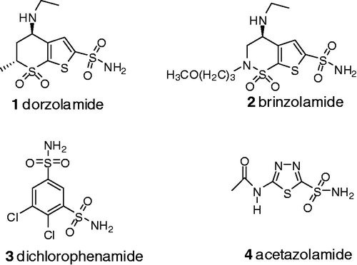 Figure 1.  Structures of some biologically active sulfonamides derivatives.