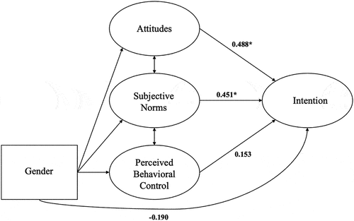 Figure 3. The structural equation model for young adults from racial and ethnic minority backgrounds.