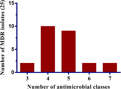 Figure 3. Multidrug-resistance profile of S. pseudintermedius isolates (n = 25), where each bar indicates the number of isolates resistant to a number of antimicrobial classes.