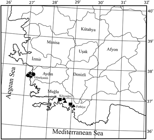 Figure 1. Distribution of new records of Pluteus in the Aegean region of Turkey according to the specimens examined. ■, Pluteus hispidulus, ●, Pluteus kovalenkoi, ▲, Pluteus semibulbosus and ★, Pluteus shikae.