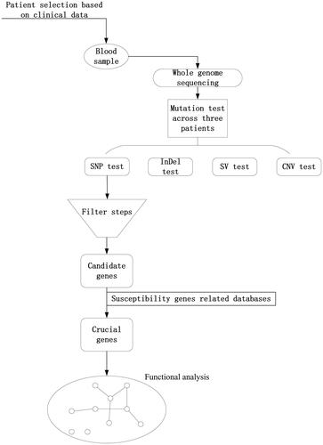 Figure 2. Clinical information and pedigree of three cases of MPMNs. There are three parts, the left side is the site of the disease of three multiple primary cancer patients, which are represented by the 3 D body graph, and the arrow points to the lower right, which is the histogram of the survival time of each patient. The survival time is the period from the diagnosis of the tumour to death or end of follow-up. The end of follow-up of all three patients in this study was 6 November 2017. Corresponding to the upper right is the pedigree for each of the patient.