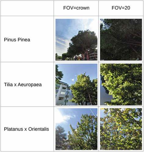 Figure 9. An example of the downloaded images for the most important species (FOV= Field of View).