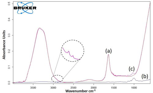 Figure 1. FTIR spectra for (a) NaCl solution (b) Moringa Oleifera powder (c) MO extract in NaCl solution.