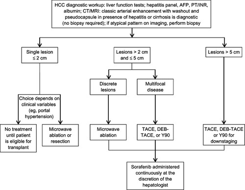 Figure 1 The Temple University multidisciplinary team treatment approach for patients with HCC.Citation4