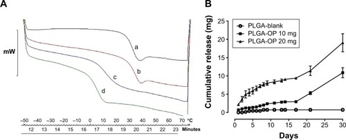 Figure 2 (A) A thermogram showing the glass transition temperatures of (a) PLGA polymer (32.7°C), PLGA loaded with (b) 20 mg (32.8°C), (c), 10 mg (15.2°C), and (d) 0 mg OP (5.8°C). (B) Cumulative release kinetics for PLGA blank, 10 mg and 20 mg OP loaded PLGA. All PLGA-OP samples exhibited a biphasic release profile.