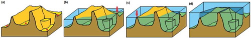 Figure 3. Illustration of the phases of the watershed transformation process (adapted from Beucher (Citation1992)).