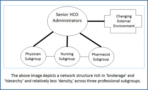 Figure 2 Effective Knowledge Sharing Network Structure in Professional Complex Systems.