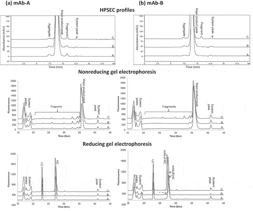 Figure 2. Comparison of size variant profiles for (a) mAb-A and (b) mAb-B. Profiles A, mAb-A, and mAb-B; profiles B, mAb-A, and mAb-B fractionated by HIC from Combo; profiles C, Combo by HPSEC and gel electrophoresis (nonreducing and reducing). HC = heavy chain; LC = light chain