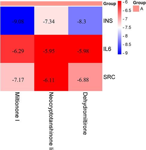 Figure 6 Heat map illustrating the binding affinities from molecular docking.