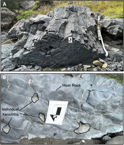 Figure 2. A. Boulder of the Little Lottery Intrusives nephelinite displaying columnar jointing within the Little Lottery River. B. Four xenoliths entrained within the nephelinite. The scale is approximately 12 cm long.