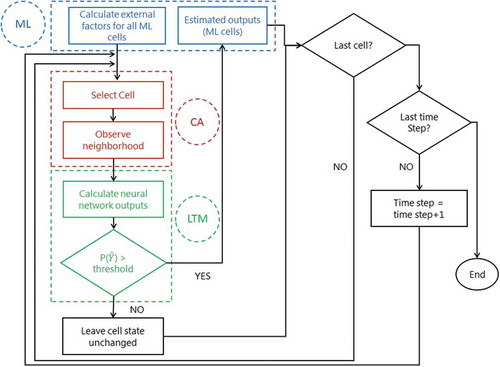 Figure 5. Processing steps of the ML-CA-LTM model. Note that the estimated label set for a given cell is fixed by a threshold which is to be optimized, as suggested by Zhang and Zhou (Citation2006).