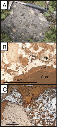Figure 2 A, Photograph of the stream boulder sampled for Moa-16. Greenish grey lamprophyre contains abundant megacrystic black kaersutite and peridotite/pyroxenite xenoliths of several cm in size. Hammer shown for scale. B, Photograph of a thin section (plane polarized light) of sample KST-2, scale in figure. The thin section shows part of a megacrystic kaersutite grain (7 mm across) with a c. 0.2 mm thick rim and matrix made up primarily of smaller kaersutite and biotite with feldspar and opaque minerals and a fine-grained epidote aggregate (Ep). C, Photograph of thin section (plane polarized light) of sample Hoh-1, scale in figure, showing similar mineralogy to KST-2.