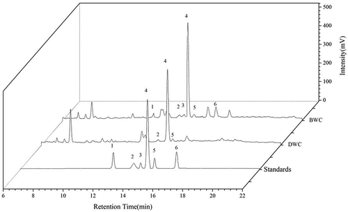 Figure 1. Combined HPLC chromatogram of phenolic compounds in the samples. Peak number: 1. protocatechuic acid, 2. procyanidin B1, 3. EGC, 4. protocatechuic aldehyde, 5. catechin 6. chlorogenic acid.Figura 1. Cromatograma combinado HPLC de los compuestos fenólicos en las muestras. Número pico: 1. ácido protocatecuico; 2. procianidina B1; 3. EGC; 4. aldehído protocatecuico; 5. catequina; 6. ácido clorogénico.