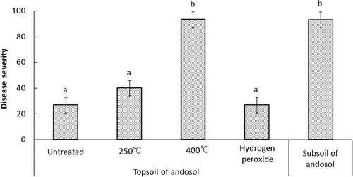 Figure 1 Effect of heating and hydrogen peroxide treatment on incidence of Fusarium wilt of lettuce in topsoil of andosols. The lettuce plant (Lactuca sativa L.) cv. Patriot was used in this experiment.
