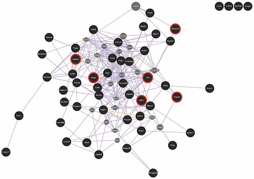 Figure 8. Network of 52 differentially expressed genes upon di-n-octyltin dichloride treatment (male F1-animals; all doses and time points). red circles mark genes involved in processes of neurodevelopment/neural function, and/or are associated with autism. Exposure to DOTC at a dose of 0, 3, 10 or 30 mg/kg of diet occurred from 2 weeks premating (F0-generation) up to postnatal day 61–70 (F1-generation).