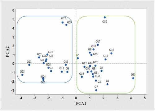 Figure 3. Principal component analysis (PCA) of the studied genotypes and cultivars of pear from European, Asian, and indigenous Iranians based on morphological traits and genome size. Each point represents one genotype and the green and blue lines are drawn to indicate the division of genotypes into two large groups