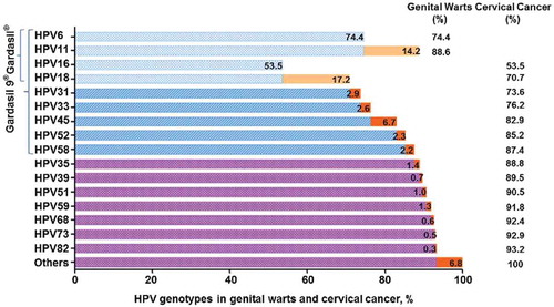 Figure 1. Percentages of HPV-related genital warts or cervical cancer attributed to different HPV genotypes. The 2 most prevalent high-risk HPV genotypes (HPV16 and 18) and 2 low-risk genotypes (HPV6 and 11) are included in the 4vHPV vaccine (Gardasil®) licensed in 2006. In addition to the above 4 genotypes, 5 common high-risk genotypes (HPV31, 33, 45, 52 and 58) are contained in the 9vHPV vaccine (Gardasil 9®) that was more recently licensed in 2014. The data were collected from Mariani et al. Citation7