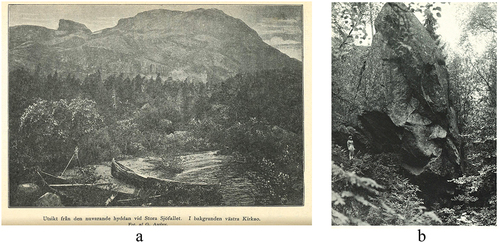 Figure 7. These photographs embody the tension between inviting tourists to primeval forests while keeping the forests free from human presence. They depict milieus with classical ‘wilderness’ characteristics, with no human buildings or other infrastructure visible in the vast and dramatic forest landscape. However, the presence of tourists is visible. The photograph in Figure 7.a. was taken by G. Améen and depicts two tour boats for tourists in the area of Stora Sjöfallet/Stuor Muorkke in 1900 (Améen, Citation1900, p. 62). The photograph in Figure 7.b. was taken by Sture Karlsson and portrays a tourist standing close to a big rock in the area of Tiveden (S. Karlsson, Citation1970, p. 306).