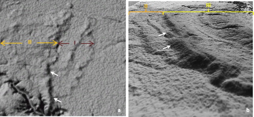 Figure 7. Grayscale SRTM elevation data subscenes. (a) Crosscutting contacts between moraines of Glacial Unit I (I) and Glacial Unit II (II); note the smooth topography of Glacial Unit I. (b) Crosscutting contacts between moraines of Glacial Unit I (II) and moraines of Glacial Unit III (II). White arrows indicate where truncation can be clearly seen. Location shown in Figure 1.