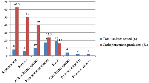 Figure 2 Magnitude of carbapenemase-producers among gram-negative isolates.