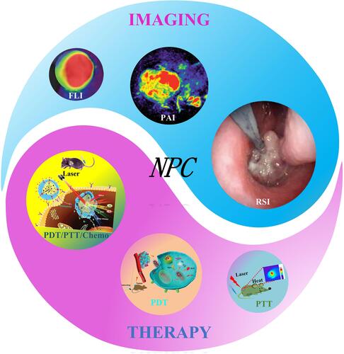 Figure 1 Schematic illustration of multi-modal optical imaging and combined phototherapy of nasopharyngeal carcinoma based on a nanoplatform.