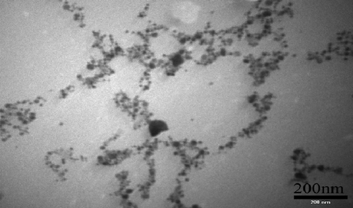 Figure 1. Characterization of nanoparticles - TEM image of nano-Ag.