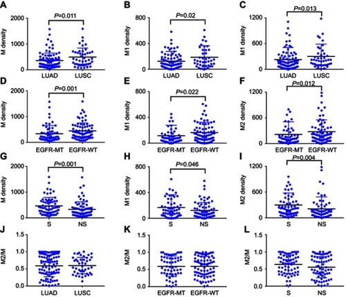 Figure 3 Quantity of macrophages in patients with different clinicopathological parameters. (A-C) Density of total macrophages (A), M1 macrophages (B), M2 macrophages (C) in patients with different pathological types. (D-F) Density of total macrophages (D), M1 macrophages (E), M2 macrophages (F) in patients with different EGFR status. (G-I) Density of total macrophages (G), M1 macrophages (H), M2 macrophages (I) in patients with different smoking history. (J-L) Proportion of M2 macrophages to total macrophages in patients with different pathological types (J), EGFR status (K) and smoking history (L). Density = cell number/3.6×105, m2. P<0.05 indicates statistical significance.Abbreviations: M, total macrophages; M1, M1 macrophages; M2, M2 macrophages; M2/M, Proportion of M2 macrophages to total macrophages; LUAD, lung adenocarcinoma; LUSC, lung squamous cell carcinoma; EGFR-MT, EGFR mutation; EGFR-WT, EGFR wild-type; S, smoker; NS, nonsmokers.