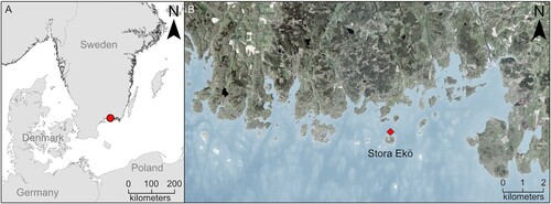 Figure 1. A. The position of the wreck site (red circle) in southern Sweden. B. The wreck site, marked by the red square, is situated north of Stora Ekö Island (Authors).