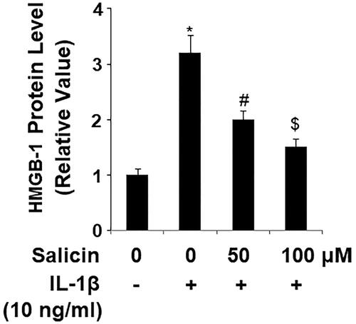 Figure 4. Salicin reduces IL-1β-induced secretions of high-mobility group protein 1 (HMGB-1) in RECs. Cells were treated with IL-1β (10 ng/mL) in the absence or presence of salicin (50 and 100 μM) for 48 h. Secretions of HMGB-1 were determined by ELISA (*, #, $, p < .01 vs. previous column group, n = 6).