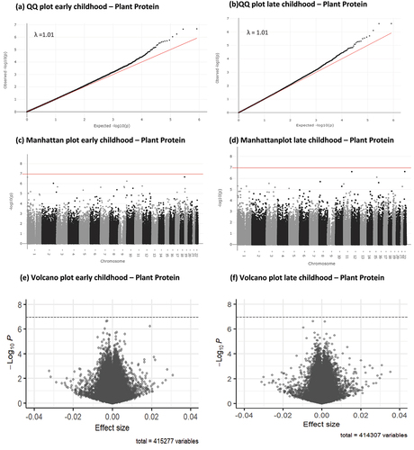 Figure 2. Q-Q, Manhattan and volcano plots for associations between infant plant protein intake (E%) and early and late childhood DNA methylation. Significance line in Manhattan and volcano plots is set to represent the Bonferroni-corrected p-value threshold of P < 1.1 × 10¯7.