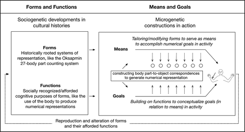 Figure 2. Relations between forms and functions (sociogenetic developments in cultural histories) and means and goals (microgenetic constructions in action).
