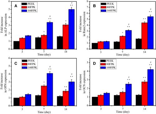 Figure 8 Expressions of osteogenic genes of ALP (A), Runx2 (B), OPN (C) and OCN (D) of MC3T3-E1 cells on the specimens at different time after culturing (*p < 0.05, **p < 0.01, vs. PEEK; #p < 0.05, 160FPK vs. 80FPK).