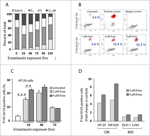 Figure 2. Enzastaurin exposure induces mitotic arrest in CIN cells. (A) HT-29 cells were exposed to 2 μM of enzastaurin for the indicated times and the cell cycle distribution was determined by flow cytometry analysis. The values indicate the average values for 2 experiments, each done in duplicate. (B) Bi-parametric flow analysis of HT-29 cells exposed to enzastaurin for 24 hours, reveals a dose-dependent accumulation of phospho-H3 positive mitotic cells. Positive control, cells treated with 10 μM nocodazole for 16 hours. Negative control, cells treated with the appropriate isotype-specific antibody. The values indicate the average of 2 experiments, each done in duplicate. (C) Fraction of phospho-H3 positive mitotic cells following exposure to enzastaurin for the indicated times. The columns indicate the average values for at least 2 experiments, each done in duplicate. Bars, SD; **, P < 0.01 and ***, P < 0.001 as determined by Student's t-test. (D) Enzastaurin exposure (24 hours) is accompanied by an increased fraction of phospho-H3 positive mitotic cells for CIN cells (HT-29 and SW-620) but not for MSI cells (DLD-1 and LoVo). The columns indicate the average values of at least 3 experiments, each done in duplicate.