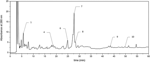 Figure 2. Chromatogram of dark beer Erdinger Weissbier after hydrolysis, at 280 nm.