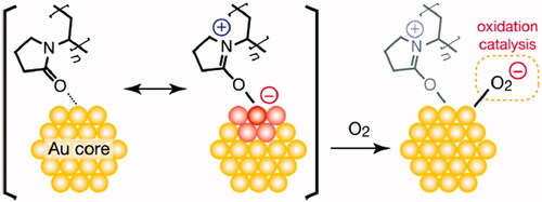 Figure 3. Dioxygen activation by PVP-induced charge transfer.