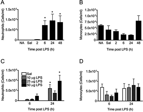 Figure 1.  Characterization of LPS-induced pulmonary inflammation. LPS or saline (Sal) was instilled intranasally and inflammatory cell infiltration in the BALF was assessed. Values shown are mean cells/ml ± SE (≥ 6 animals/group). (A) Neutrophil and (B) monocyte counts over time in response to 50 µg LPS/mouse. (C) Neutrophil and (D) monocyte counts in response to various doses of LPS at 6 and 24 h post-instillation. NA, naive (untreated); Sal, 2 h post-Sal. *p < 0.05 as compared to Sal.