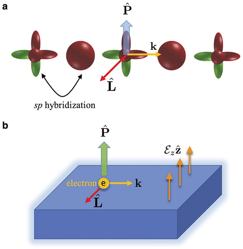 Figure 2. Figure taken from Ref. [Citation108]. a) the system can be prepared in a non-vanishing orbital angular momentum state and the hybridization generates an electric polarization P^. b) the coupling between this electric polarization and the surface gradient can lead to the Rashba-like orbital coupling, which leads to the OME.