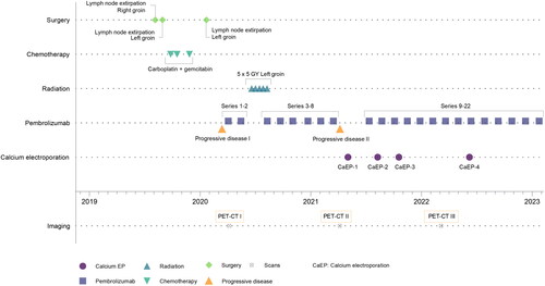 Figure 2. Overview of patient treatments.