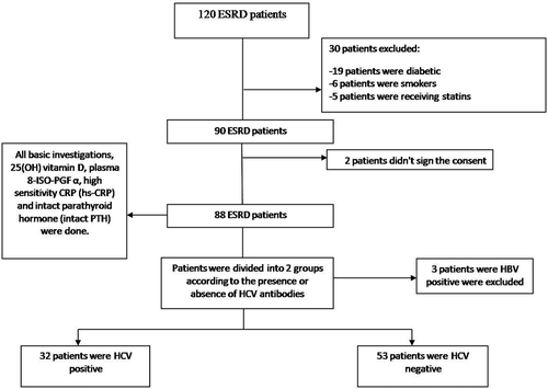 Figure 1. Flowchart of patient recruitment to the study