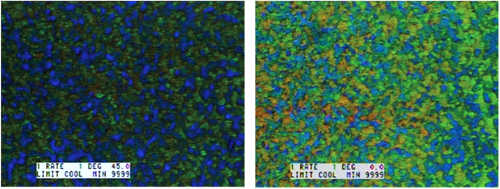 Figure 10. Polarizing optical microscopy image of PSBPLC. BPI at 46.3 °C (left) and BPI at 23.9 °C (right) [Citation15]. Reprinted by permission from Macmillan Publishers Ltd: H Kikuchi et al 2002 Nat. Mater. 1 64–8, copyright 2002.