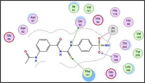 Figure 4. 2D interaction of compound 7a within the active site of hCAII.