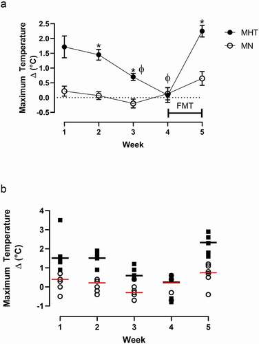 Figure 2. Maximal temperature associated with once-a-week dosing of methylone (10 mg/kg, sc). (a) Weekly maximal temperature changes. “FMT” bar between weeks four and five indicates the duration of the fecal microbial transplant between treatments. *indicates significant difference between each week’s maximal temperature change between the MHT and MN group (p < 0.001). ϕ indicates significantly different from MHT maximal temperature change week 1 (p < 0.01). Each value is the average ± SEM (n = 6). (b) Individual animal maximal temperature changes over the five week treatment period. The horizontal black line indicates the median for the MHT group, and the red line is the median for the MN group.