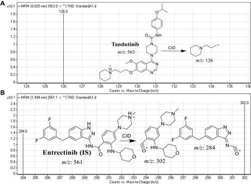 Figure 2 MRM mass spectra Tandutinib (TND) (A) and entrectinib (internal standard; IS) (B) presenting the proposed fragmentation pattern.