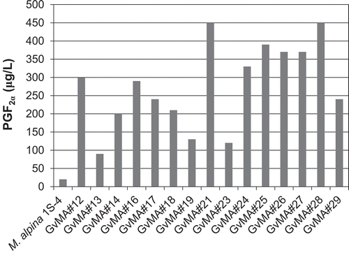 Figure 4. Evaluation of fermentative production of PGF2α that was released into the media during the 12-day cultivation of the transformants.