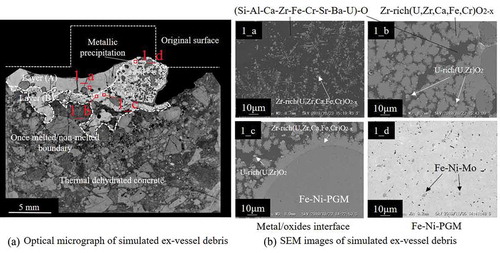 Figure 4. Cross-sectional images of the solidified simulated ex-vessel debris after experiment no. 1. (a) Optical micrograph of simulated ex-vessel debris. (b) SEM images of simulated ex-vessel debris: (1_a) close-up view of layer (A), (1_b) close-up view of layer (B), (1_c) interface between the oxide region and metallic precipitation, and (1_d) metallic precipitation