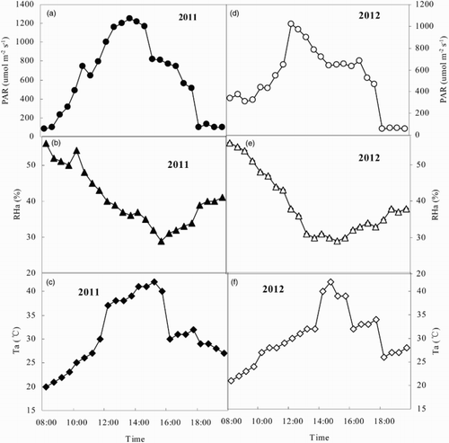 Figure 1. Diurnal changes in atmospheric environmental factors of peppers in the greenhouse on 8 August 2011 (a, b, c) and 16 August 2012 (d, e, f) (PAR, photosynthetically active radiation; RHa, air relative humidity; Ta, air temperature).