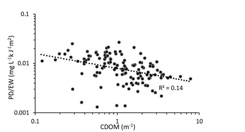 Fig. 5. The relationship between the photo decay rate per absorbed energy and colored dissolved organic matter (CDOM). n=144.