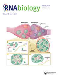 Cover image for RNA Biology, Volume 18, Issue 7, 2021