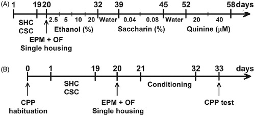 Figure 1. Experimental timeline. The timelines show sequence and duration of experimental protocols of the effect of CSC on (A) voluntary ethanol intake and preference and (B) ethanol-induced conditioned-lace preference.