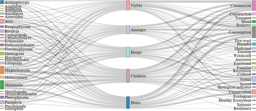 Figure 2. Sankey diagram representing connections between group of species, represented as class of species (left panel), communities (middle panel) and values (right panel). The width of each bar represents the frequency of data.